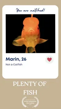 Artwork for the screenplay Plenty of Fish
